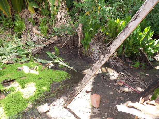 Foto: Agência Aracaju de Notícias