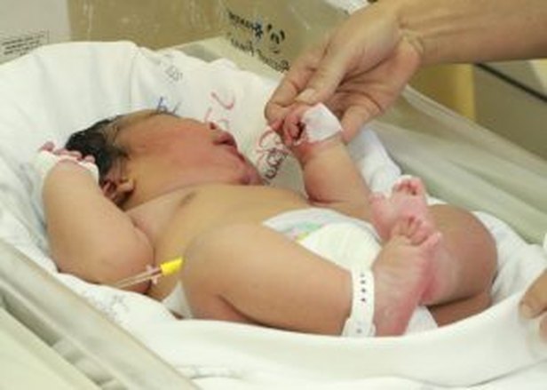 Foto: Valter Sobrinho | ASCOM SES