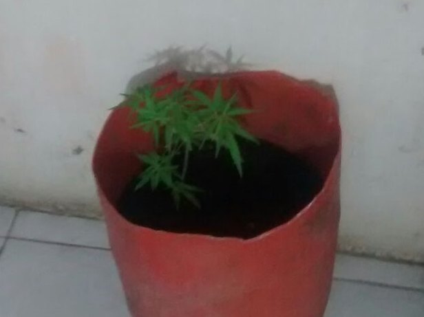 Foto: PM/SE