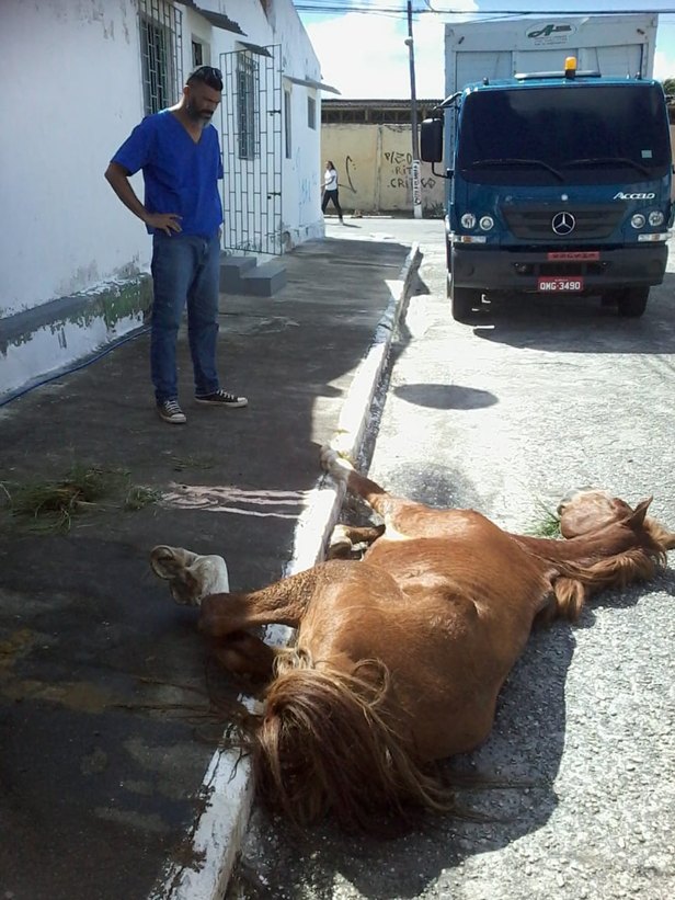 Foto: Emsurb