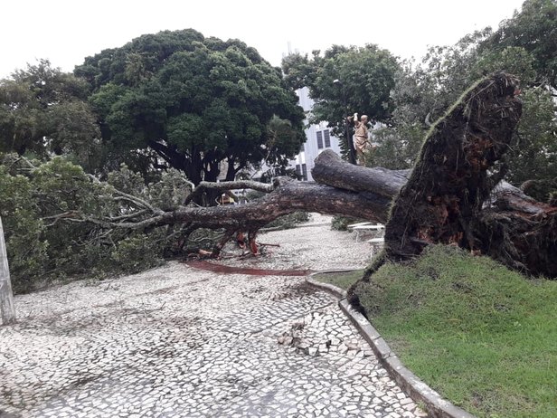 Foto: Defesa Civil de Aracaju