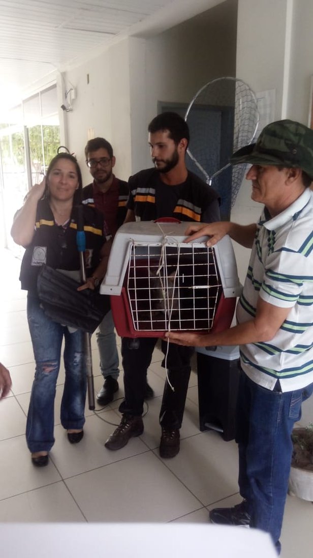 Foto: Adema