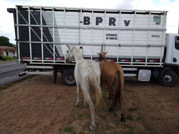 Foto: BPRv