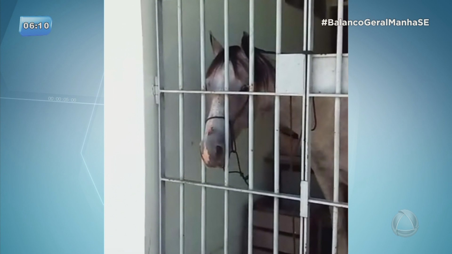 SSP manda afastar PM que prendeu cavalo em Nossa Senhora Aparecida