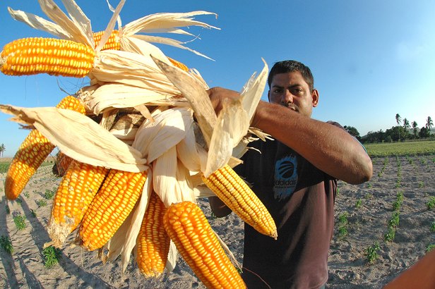 Foto: Jorge Herinque/ASN