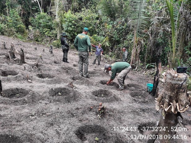 Pelotão Ambiental