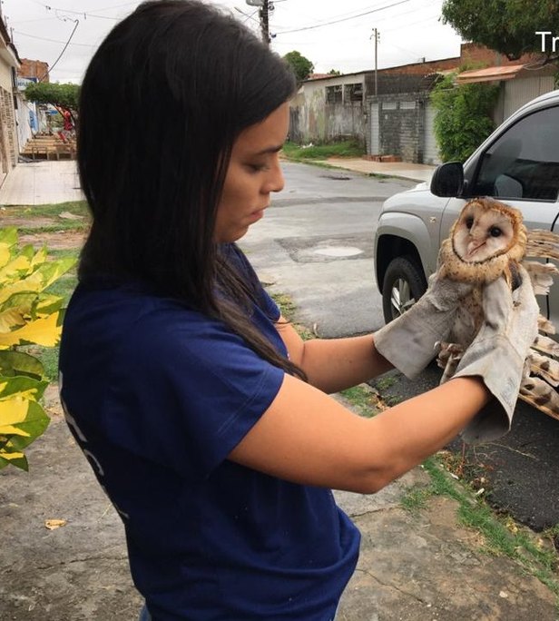 Foto: Adema