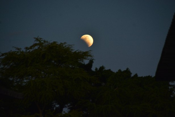 Foto: Jadilson Simões