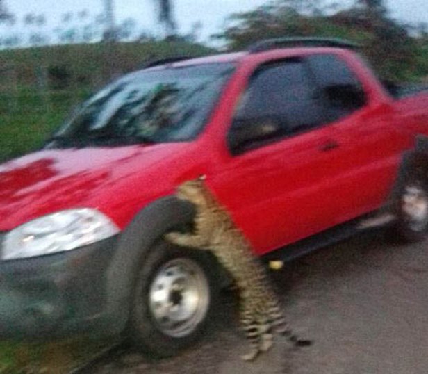 Foto: Diário Sergipano