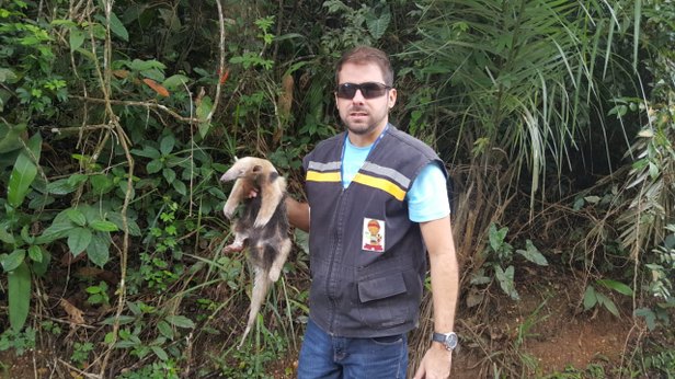 Foto: Adema