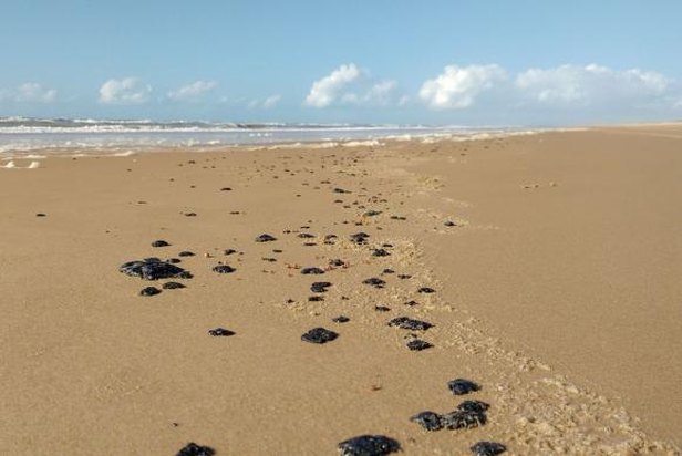 Foto: Manchas no litoral sergipano causadas pelo derramamento em 2016