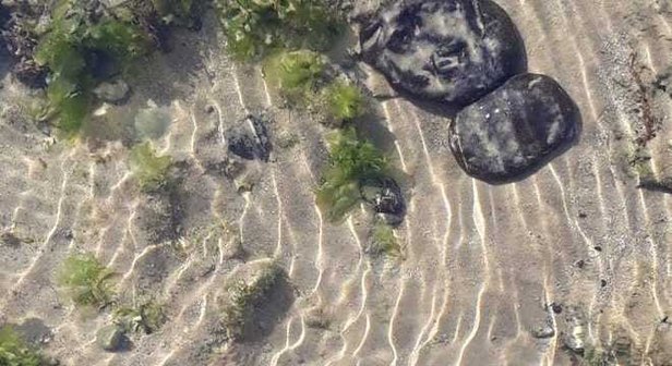 Mancha de óleo detectada na foz do rio São Francisco, em Piaçabuçu Foto: Tone Madson Melo Barros