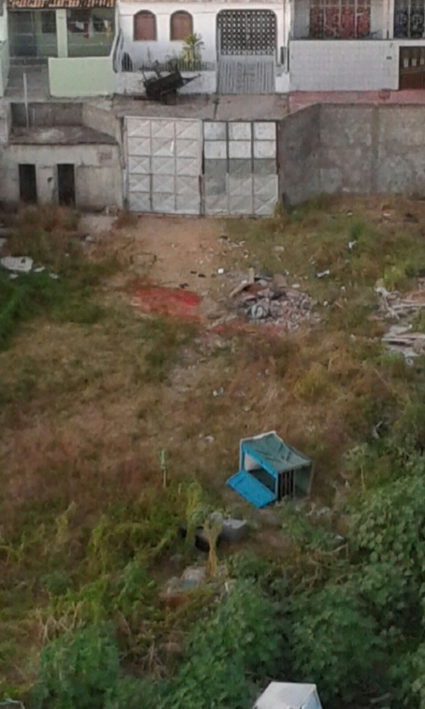 Genival está preocupado com a saúde dos cães