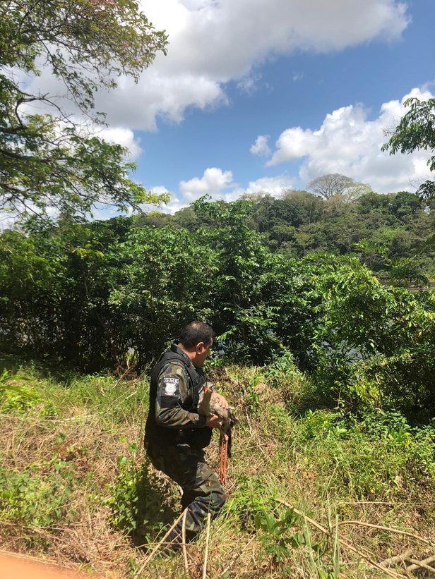 Foto: Pelotão Ambiental